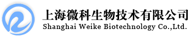 揚子江船業(yè)
